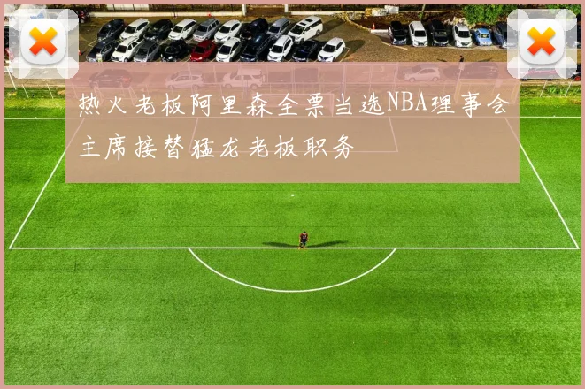 热火老板阿里森全票当选NBA理事会主席接替猛龙老板职务